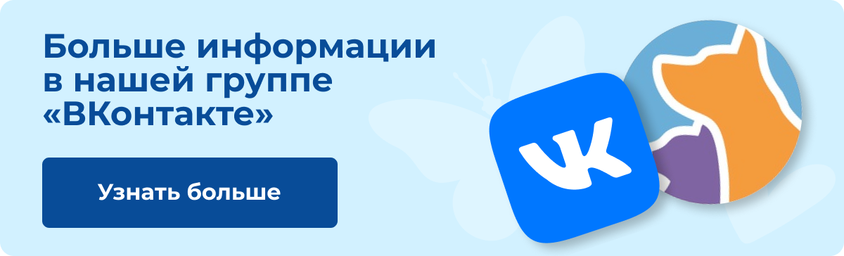 Больше информации в нашей группе «ВКонтакте» | Узнать больше