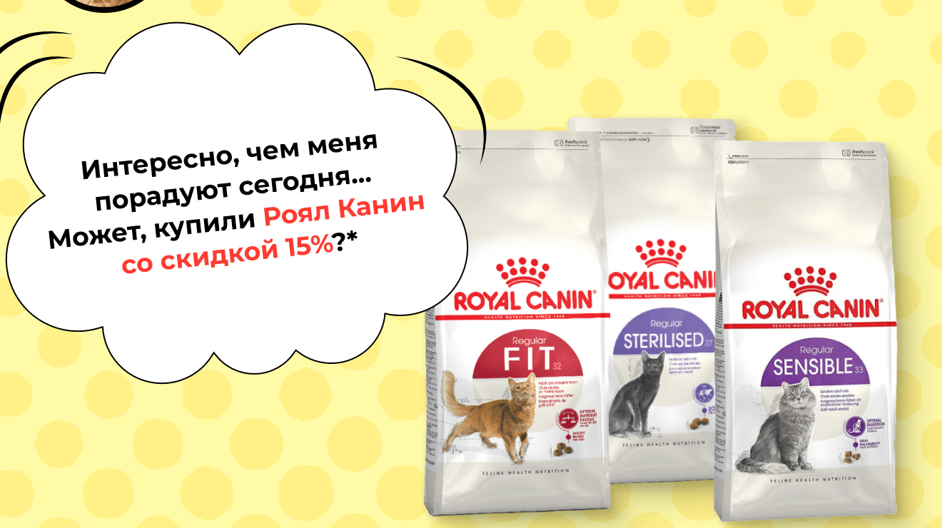 Интересно, чем меня порадуют сегодня… Может, купили Роял Канин со скидкой 15%?*