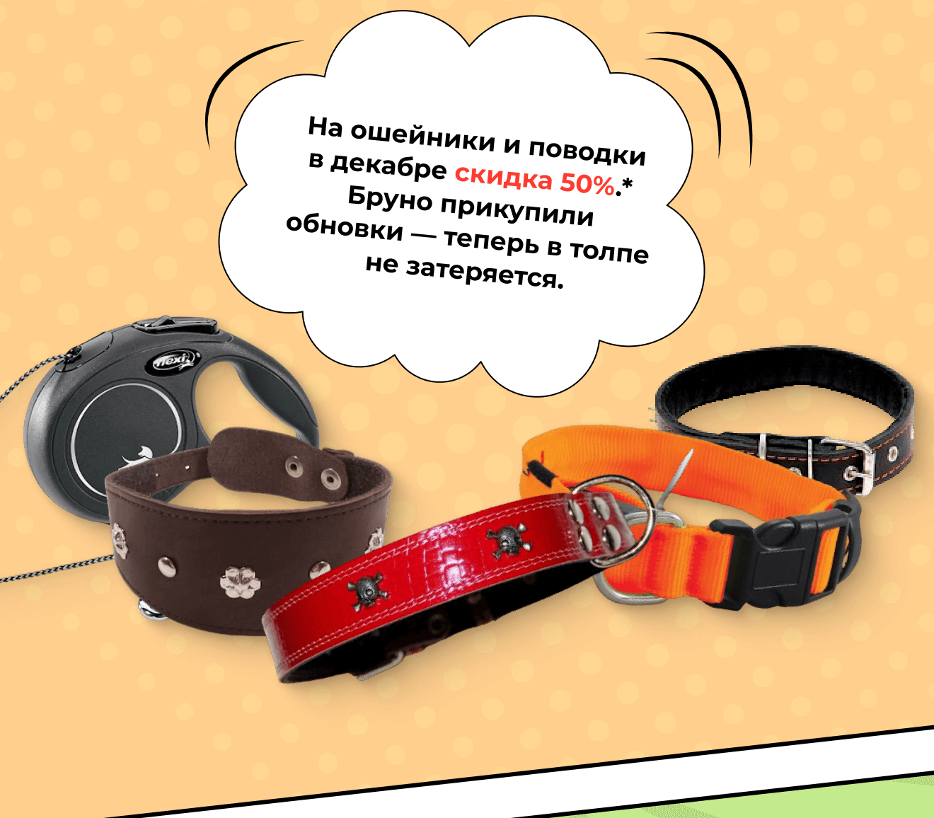 На ошейники и поводки в декабре скидка 50%.* Бруно прикупили обновки — теперь в толпе не затеряется.