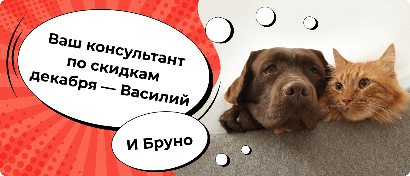 Ваш консультант по скидкам декабря — Василий и Бруно