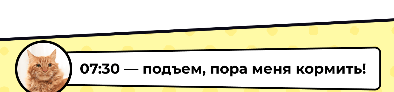 07:30 — подъем, пора меня кормить!