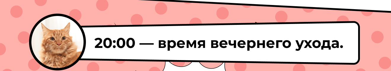 20:00 — время вечернего ухода.