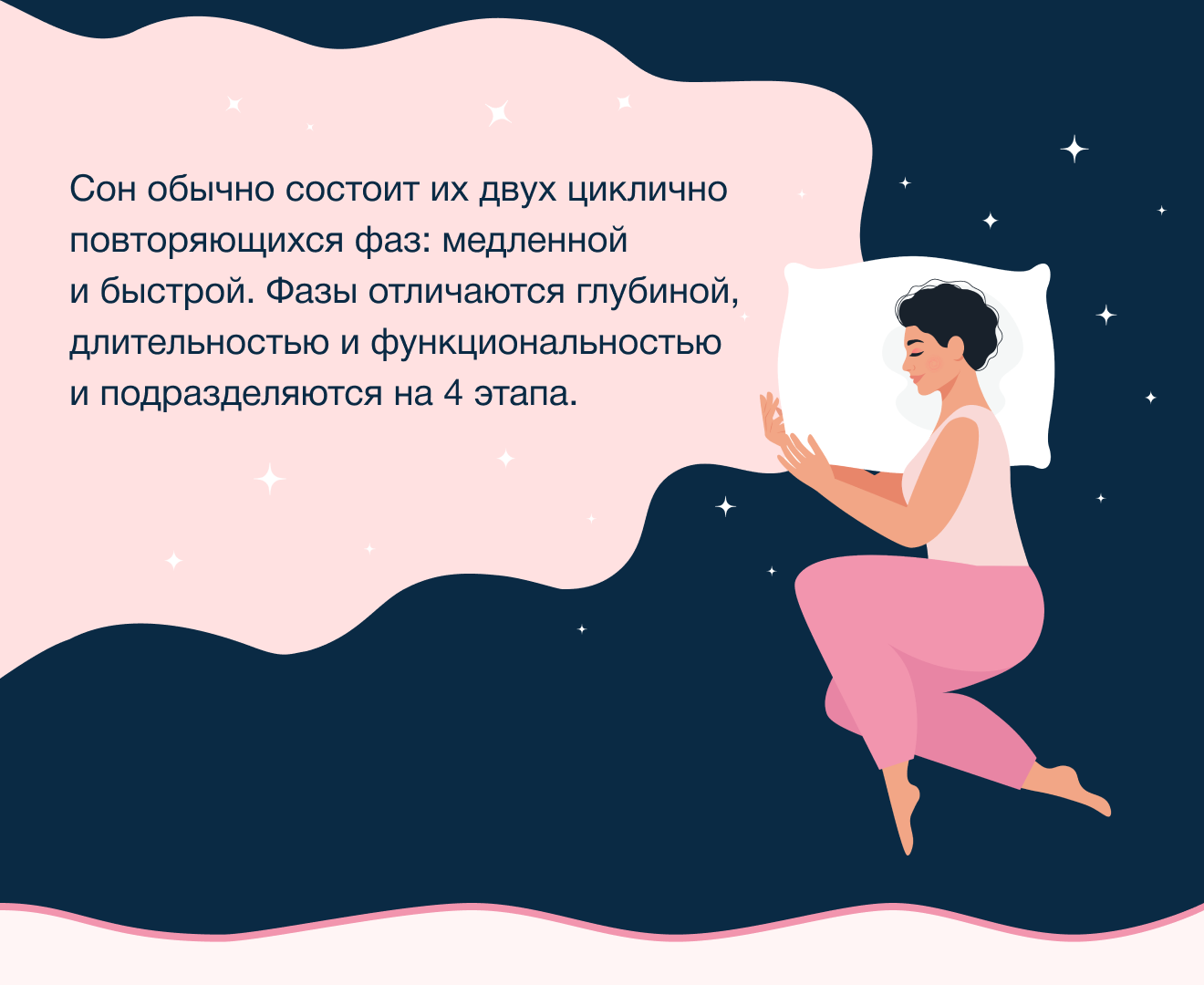 Сон обычно состоит их двух циклично повторяющихся фаз: медленной и быстрой. Фазы отличаются глубиной, длительностью и функциональностью и подразделяются на 4 этапа.