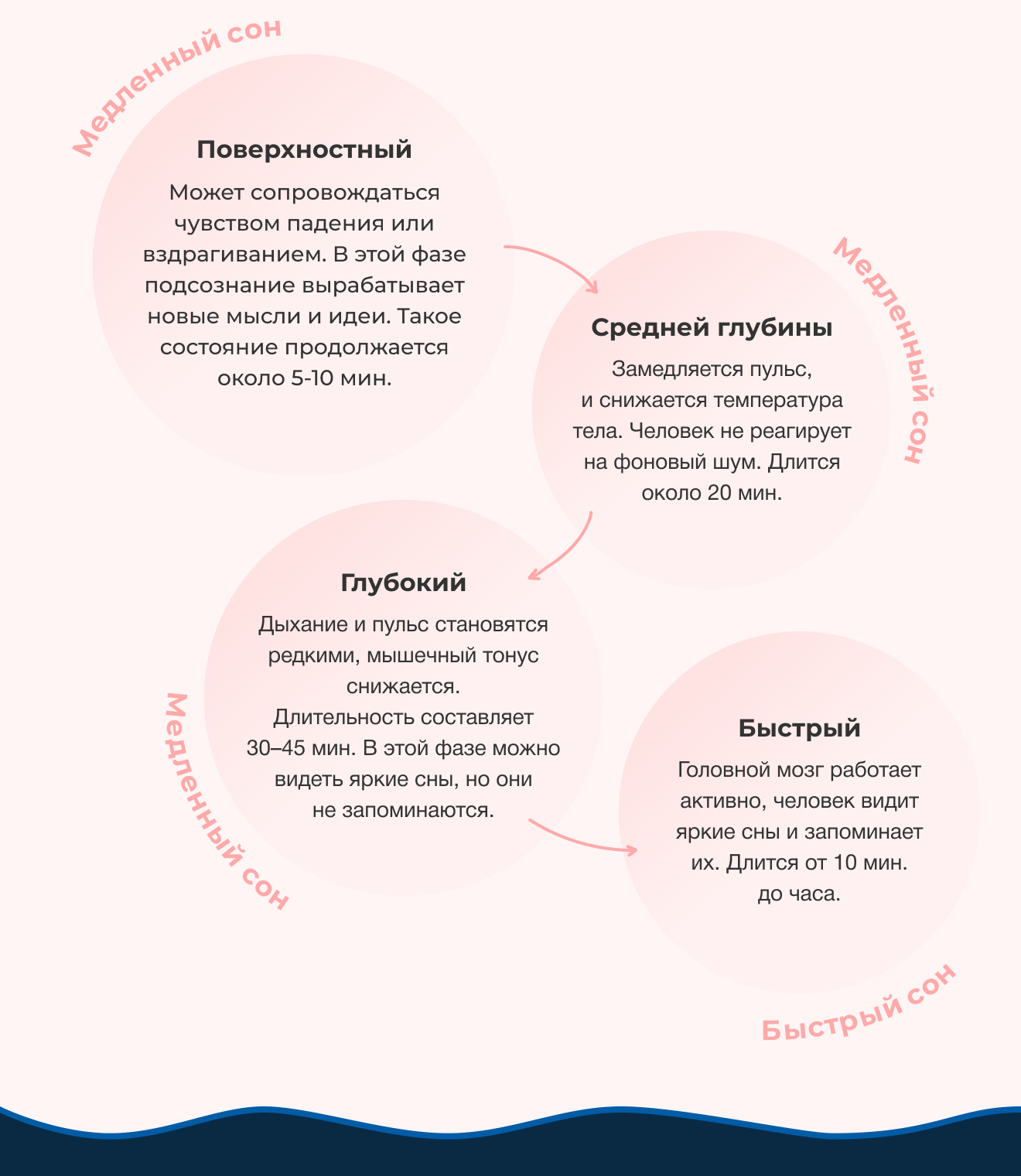 Медленный сон | Поверхностный | Может сопровождаться чувством падения или вздрагиванием. В этой фазе подсознание вырабатывает новые мысли и идеи. Такое состояние продолжается около 5-10 мин. | Средней глубины | Замедляется пульс, и снижается температура тела. Человек не реагирует на фоновый шум. Длится около 20 мин. | Глубокий | Дыхание и пульс становятся редкими, мышечный тонус снижается. Длительность составляет 30–45 мин. В этой фазе можно видеть яркие сны, но они не запоминаются. | Быстрый | Головной мозг работает активно, человек видит яркие сны и запоминает их. Длится от 10 мин. до часа.